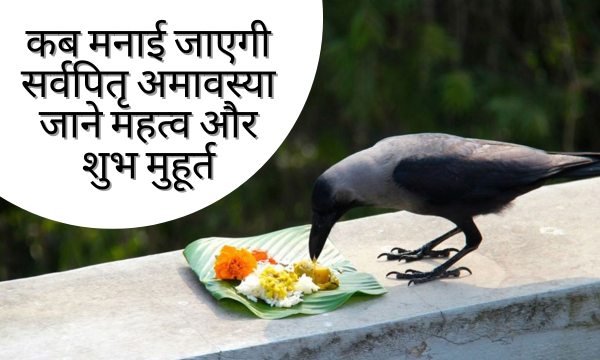 Sarva Pitru Amavasya 2025